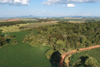 produtor-rural-planta-12-mil-arvores-nativas-em-minas-e-cria-modelo-de-renda-sustentavel-–-agro-em-campo
