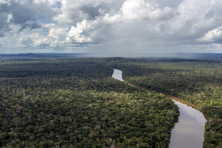 agricultores-familiares-podem-receber-r$-28-mil-por-preservacao-ambiental-na-amazonia-–-agro-em-campo