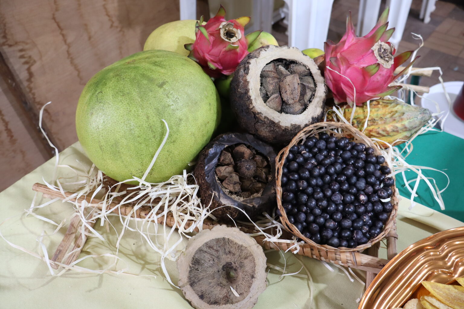 cooperativa-de-tome-acu-impulsiona-agrofloresta-sustentavel-–-agro-em-campo