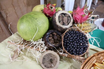cooperativa-de-tome-acu-impulsiona-agrofloresta-sustentavel-–-agro-em-campo