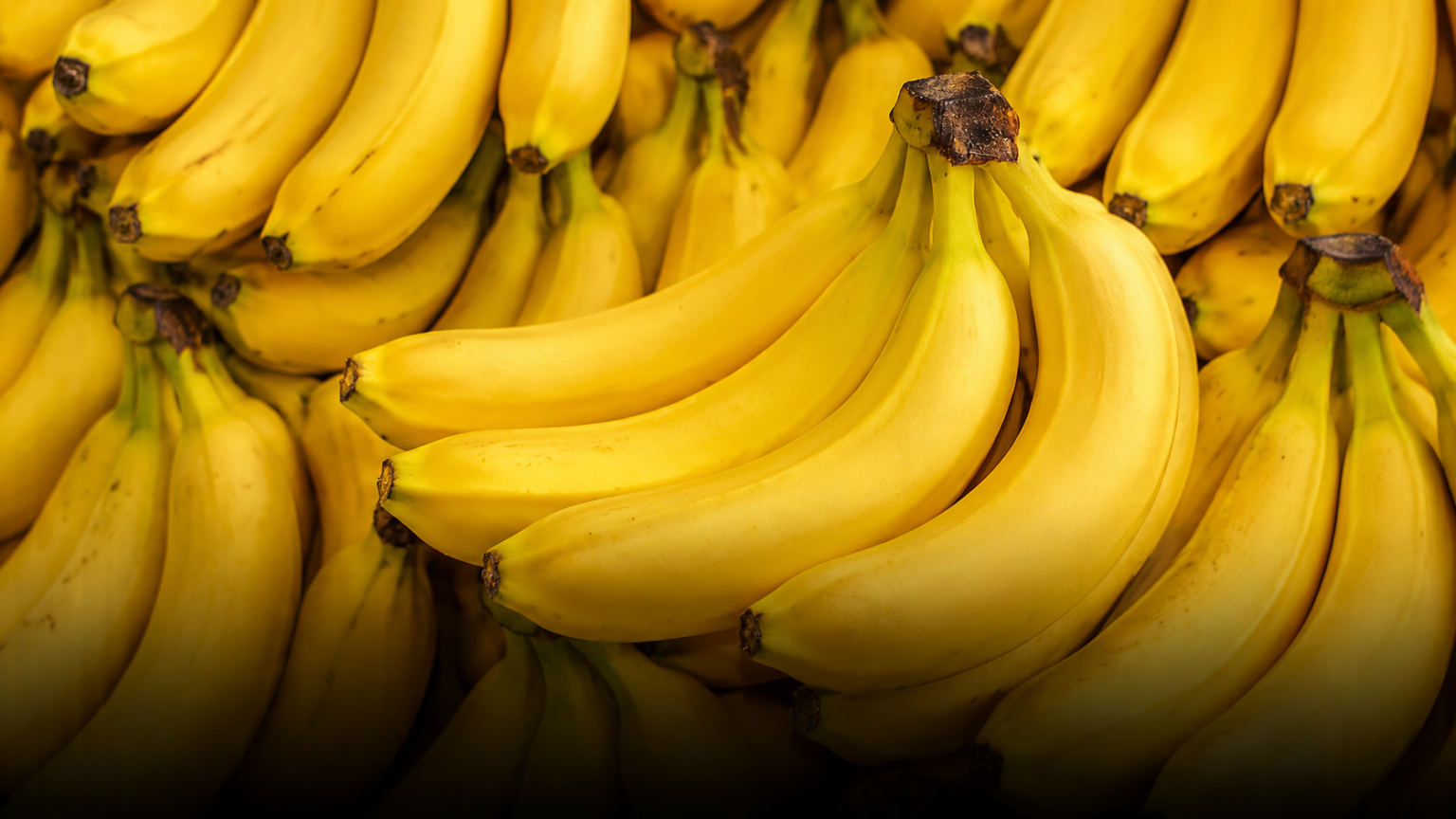 dia-mundial-da-fruta:-conheca-as-mais-consumidas-no-brasil-–-agro-em-campo