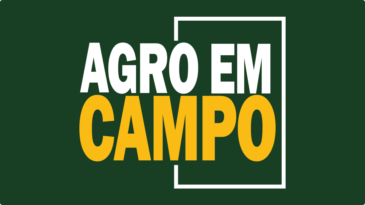 agricultor-cria-bandeira-do-brasil-com-39-mil-hortalicas-–-agro-em-campo