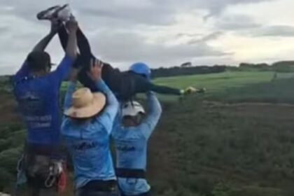 uma-jovem-de-21-anos-foi-carregada-nos-bracos-ate-a-plataforma-e-lancada-de-cerca-de-40-metros-num-salto-de-bungee-jump-em-limeira-enquanto-uma-corda-aparecia-enrolada-no-chao-atras-do-grupo;-testemunhas-gritavam-algo-que-ninguem-ao-redor-conseguiu-impedi
