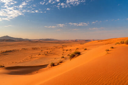 caminhao-quebra-no-meio-do-saara,-deixa-nigerinos-sem-agua-em-rota-remota-e-transforma-viagem-de-volta-para-casa-em-tragedia-com-quase-50-mortos
