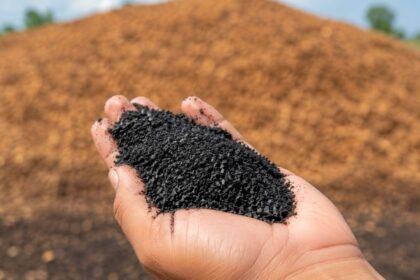 embrapa-avalia-uso-de-biochar-para-aproveitar-residuos-do-cafe-e-diminuir-dependencia-de-fertilizantes