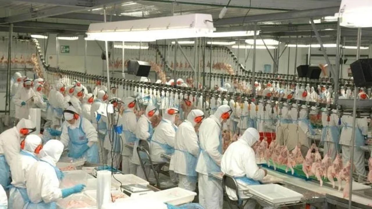 gigante-de-alimentos-de-santa-catarina-esta-usando-uma-nova-forma-de-mudar-a-producao-de-carnes:-a-aurora-coop-criou-um-sistema-pioneiro-no-brasil-que-acompanha-propriedades,-transporte-e-unidades-industriais,-transforma-indicadores-em-decisoes,-corrige-f