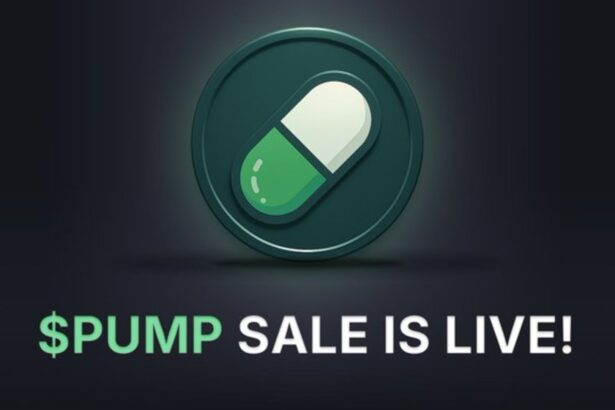 novo-token-de-fabrica-de-memecoins-pump-fun-esgota-em-12-minutos,-veja-onde-vende