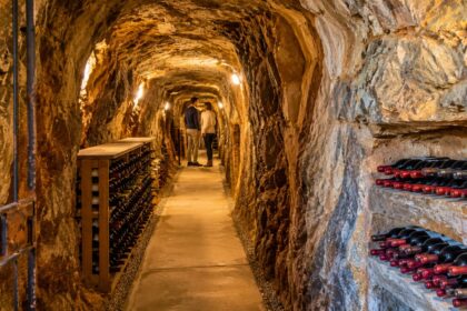 casal-compra-um-terreno-sem-agua-encanada-na-australia-e,-ao-limpar-uma-antiga-mina-de-ouro,-retira-ate-50-toneladas-de-entulho,-abre-um-tunel-de-100-metros-a-quase-19-metros-de-profundidade-e-transforma-o-espaco-numa-adega-subterranea-para-receber-convid