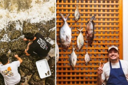 chef-catarinense-transforma-espaco-provisorio-de-apenas-12-lugares-em-restaurante-reconhecido-entre-os-100-melhores-do-brasil,-aposta-em-ostras,-peixes-e-ingredientes-locais,-alcanca-a-50a-posicao-nacional-e-encerra-o-ciclo-apos-seis-anos-porque-novas-obr
