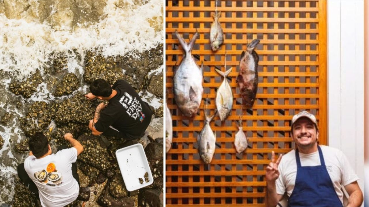 chef-catarinense-transforma-espaco-provisorio-de-apenas-12-lugares-em-restaurante-reconhecido-entre-os-100-melhores-do-brasil,-aposta-em-ostras,-peixes-e-ingredientes-locais,-alcanca-a-50a-posicao-nacional-e-encerra-o-ciclo-apos-seis-anos-porque-novas-obr