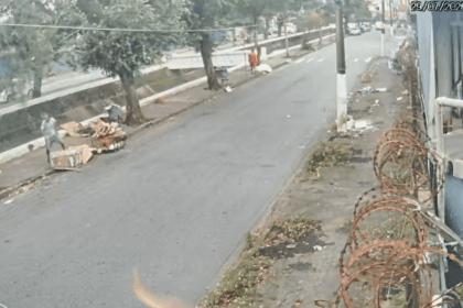 ventania:-video-mostra-homem-que-morreu-sendo-atingido-por-arvore-em-santos-|-cnn-brasil