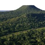 apos-mortes-de-oncas-pintadas-atropeladas,-estado-anuncia-investimento-de-r$-23-milhoes-para-aumentar-seguranca-no-entorno-do-morro-do-diabo-|-g1