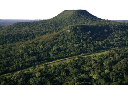 apos-mortes-de-oncas-pintadas-atropeladas,-estado-anuncia-investimento-de-r$-23-milhoes-para-aumentar-seguranca-no-entorno-do-morro-do-diabo-|-g1
