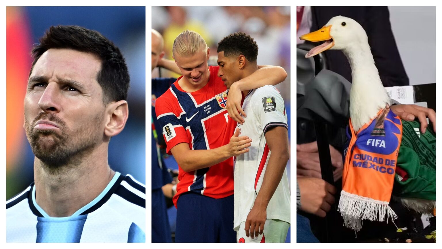 selecao-de-memes:-g1-lista-os-melhores-e-os-piores-virais-da-copa-do-mundo