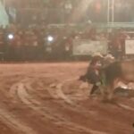 peao-do-noroeste-paulista-morre-pisoteado-por-touro-em-rodeio;-video