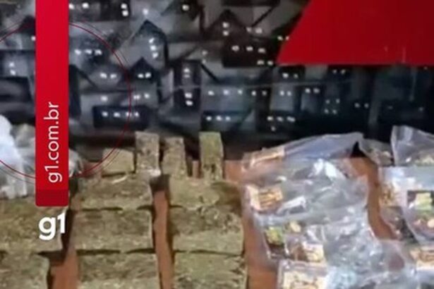 mais-de-1,6-mil-comprimidos-de-ecstasy-sao-apreendidos-pela-pm-em-mg-|-g1