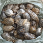 suspeito-de-furtar-loja-passa-mal,-expele-29-buchas-de-maconha-e-e-preso-em-manhuacu-|-g1