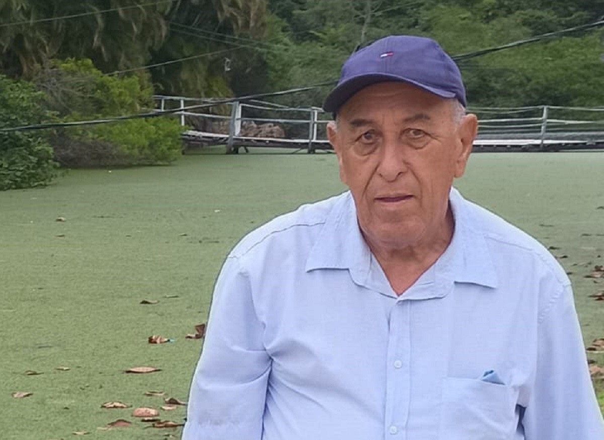idoso-morre-apos-ser-atropelado-em-faixa-de-pedestre-em-mg:-‘ia-comprar-po-de-cafe’,-diz-genro