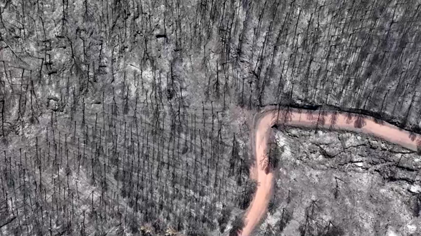 video-mostra-destruicao-de-incendios-florestais-na-espanha;-veja-|-g1