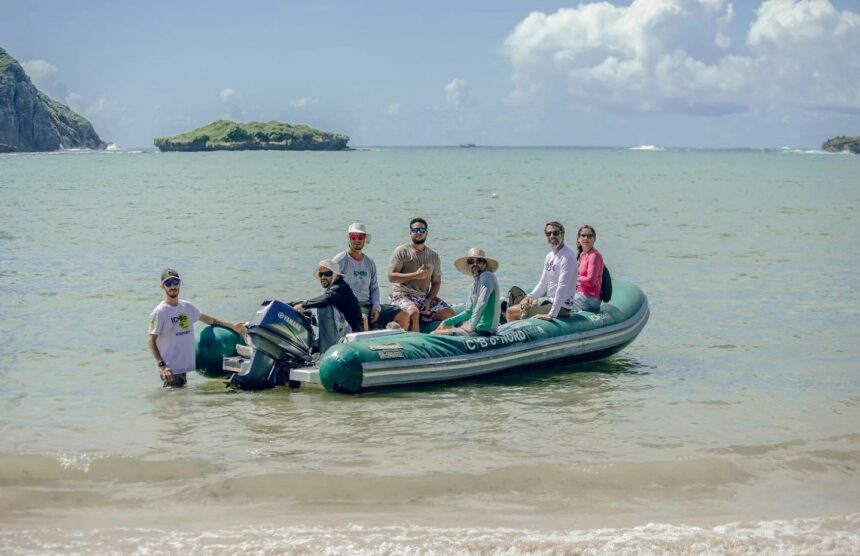 receptor-acustico-na-praia-do-sueste-vai-monitorar-tubaroes-em-fernando-de-noronha-|-g1
