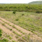agroecologia-e