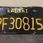motorista-e-preso-ao-ser-flagrado-com-caminhao-com-placa-falsificada-tosca-nos-eua-|-g1