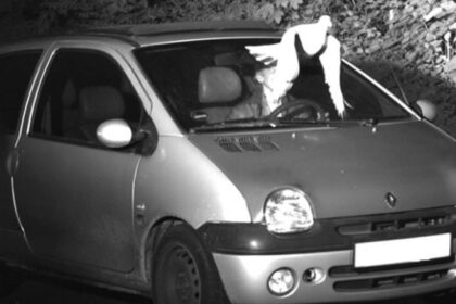 pombo-livra-motorista-de-ser-multado-por-excesso-de-velocidade-na-alemanha-|-g1