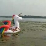 policia-resgata-mulheres-presas-em-bote-de-unicornio-em-lago-nos-eua-|-g1