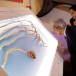 indiano-corta-maiores-unhas-do-mundo-e-expoe-em-museu-de-ny-|-g1