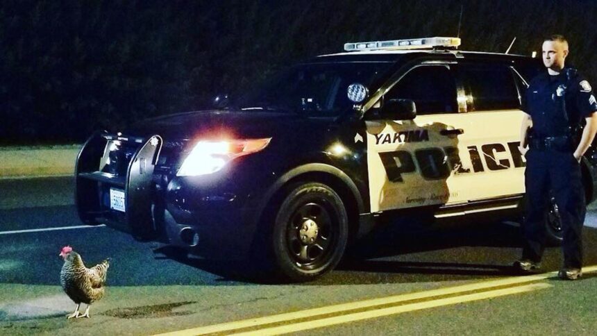 policial