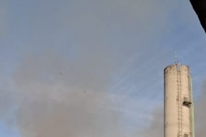 mogi-das-cruzes-registra-dois-incendios-em-vegetacao-|-g1