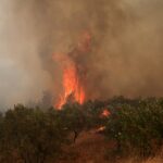 helicopteros-colidem-no-ar-durante-combate-a-incendios-na-grecia-|-g1
