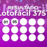 resultado-da-lotofacil-3751:-veja-os-15-numeros-sorteados-deste-domingo-(2)