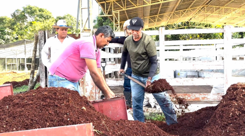 feira-da-agricultura-familiar-de-barreirinha-fortalece-setor-rural-|-g1