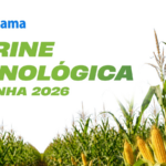 vitrine-tecnologica-safrinha-2026-une-inovacao-e-conhecimento-no-cultivo-de-milho-|-g1