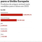 europa-nao-volta-a-comprar-carne-bovina-antes-de-2-anos-|-g1