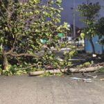 ciclone-bomba:-rj-recomenda-volta-para-casa-antecipada-por-seguranca-|-cnn-brasil