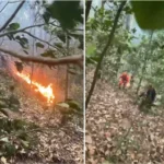 queda-de-helicoptero-no-rio-de-janeiro-mata-tres-turistas-colombianas-e-piloto