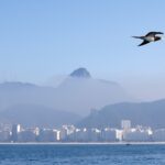 apos-ventos-perderem-a-forca,-rio-volta-ao-estagio-1-de-atencao