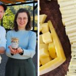 da-cozinha-da-nona-ao-reconhecimento-nacional:-queijo-feito-ha-50-anos-mantem-tradicao-de-familia-em-sc