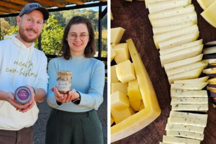 da-cozinha-da-nona-ao-reconhecimento-nacional:-queijo-feito-ha-50-anos-mantem-tradicao-de-familia-em-sc