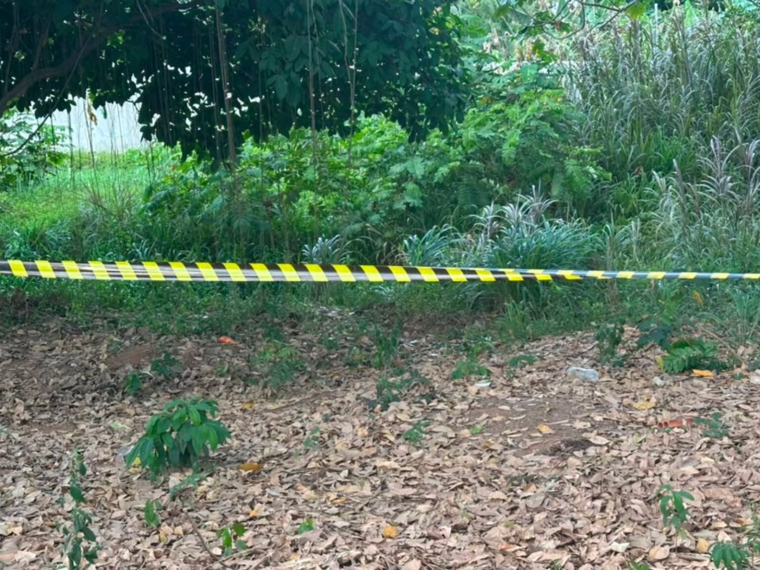 policia-investiga-morte-de-homem-achado-dentro-de-corrego-em-rio-branco