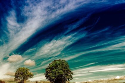 agosto-comeca-com-maior-risco-de-el-nino-forte,-diz-onu-|-cnn-brasil