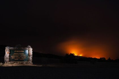 ninguem-fica-para-tras:-como-espanha-salvou-animais-de-incendios-florestais-|-cnn-brasil