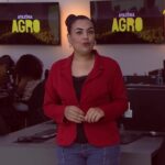 videos:-amazonia-agro-acre-deste-domingo,-2-de-agosto-de-2026