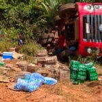 caminhao-com-alimentos-tomba-em-estrada-que-da-acesso-a-oiapoque-|-g1