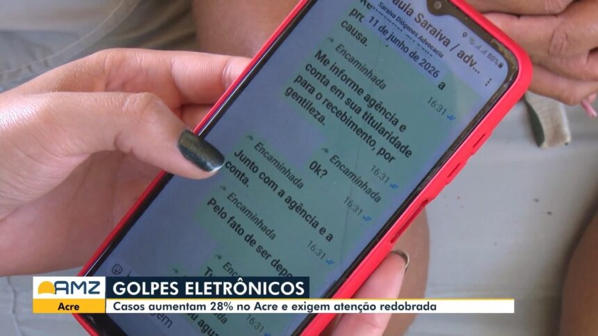 videos:-bom-dia-amazonia-desta-sexta-feira,-31-de-julho-de-2026.