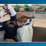 carga-de-peixes-transportada-de-forma-irregular-em-carroceria-de-caminhonete-e-apreendida-na-bahia