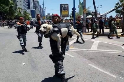 policial-leva-cao-nos-bracos-no-desfile-da-independencia-em-fortaleza;-veja-video