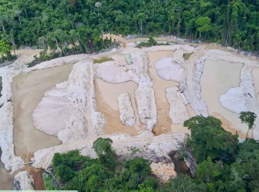 operacao-da-pf-destroi-maquinas-usadas-por-garimpo-ilegal-|-g1